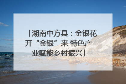 湖南中方县：金银花开“金银”来 特色产业赋能乡村振兴