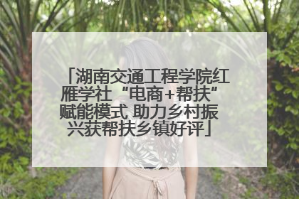 湖南交通工程学院红雁学社“电商+帮扶”赋能模式 助力乡村振兴获帮扶乡镇好评