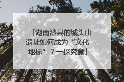湖南澧县的城头山遗址如何成为“文化地标”？一探究竟