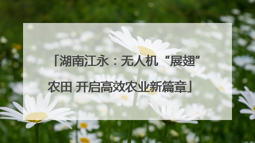湖南江永：无人机“展翅”农田 开启高效农业新篇章