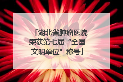 湖北省肿瘤医院荣获第七届“全国文明单位”称号