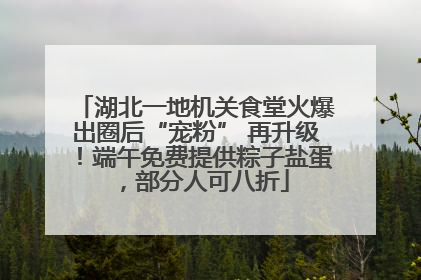 湖北一地机关食堂火爆出圈后“宠粉” 再升级！端午免费提供粽子盐蛋，部分人可八折