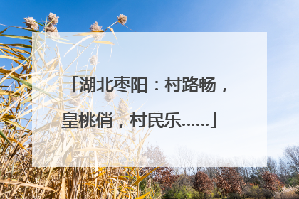 湖北枣阳：村路畅，皇桃俏，村民乐……