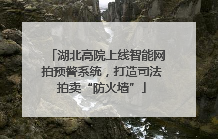 湖北高院上线智能网拍预警系统，打造司法拍卖“防火墙”