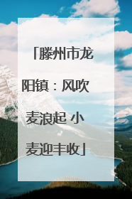 滕州市龙阳镇：风吹麦浪起 小麦迎丰收