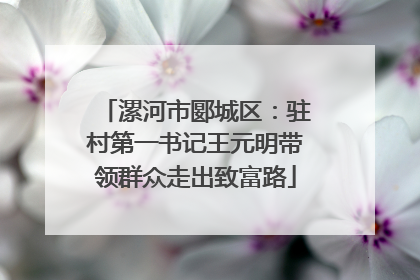 漯河市郾城区：驻村第一书记王元明带领群众走出致富路
