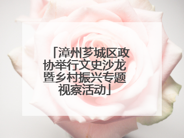 漳州芗城区政协举行文史沙龙暨乡村振兴专题视察活动