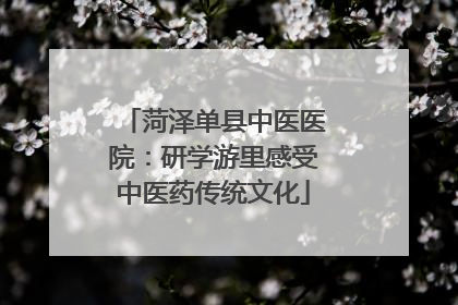 菏泽单县中医医院：研学游里感受中医药传统文化