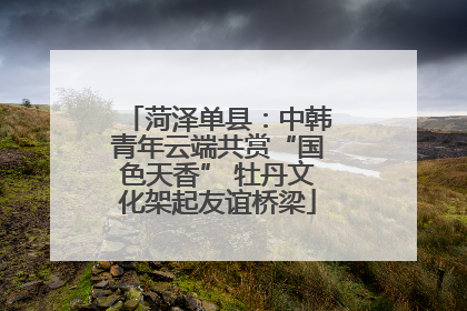 菏泽单县：中韩青年云端共赏“国色天香” 牡丹文化架起友谊桥梁