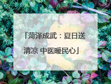 菏泽成武：夏日送清凉 中医暖民心