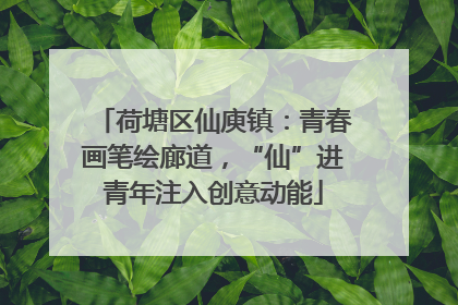 荷塘区仙庾镇：青春画笔绘廊道，“仙”进青年注入创意动能