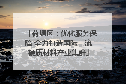 荷塘区：优化服务保障 全力打造国际一流硬质材料产业集群