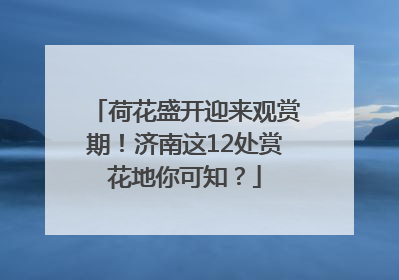 荷花盛开迎来观赏期！济南这12处赏花地你可知？