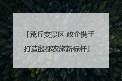荒丘变景区 政企携手打造殷都农旅新标杆