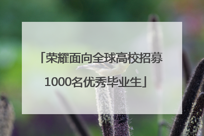 荣耀面向全球高校招募1000名优秀毕业生