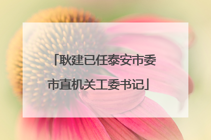 耿建已任泰安市委市直机关工委书记