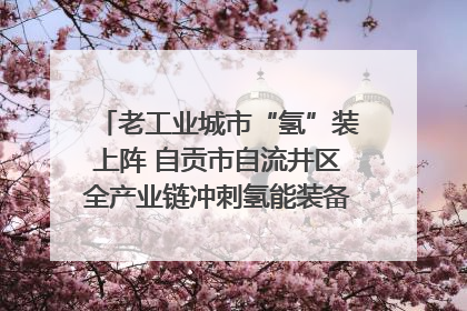 老工业城市“氢”装上阵 自贡市自流井区全产业链冲刺氢能装备制造新高地｜美好生活有“盐”味