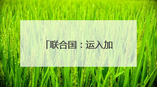 联合国：运入加沙的大部分面粉遭劫掠或哄抢