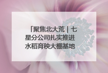 聚焦北大荒｜七星分公司扎实推进水稻育秧大棚基地清理整治工作