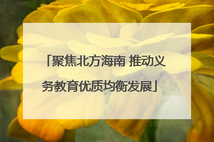 聚焦北方海南 推动义务教育优质均衡发展