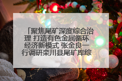 聚焦尾矿深度综合治理 打造有色金属循环经济新模式 张金良一行调研栾川县尾矿库综合治理工作