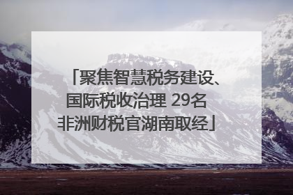聚焦智慧税务建设、国际税收治理 29名非洲财税官湖南取经