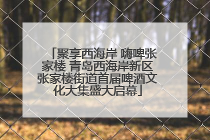 聚享西海岸 嗨啤张家楼 青岛西海岸新区张家楼街道首届啤酒文化大集盛大启幕