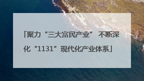 聚力“三大富民产业” 不断深化“1131”现代化产业体系