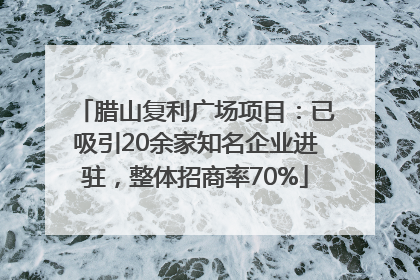 腊山复利广场项目：已吸引20余家知名企业进驻，整体招商率70%
