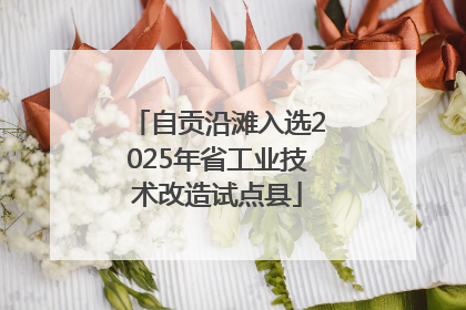 自贡沿滩入选2025年省工业技术改造试点县