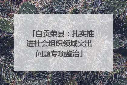 自贡荣县：扎实推进社会组织领域突出问题专项整治