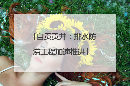 自贡贡井：排水防涝工程加速推进