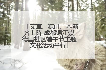 艾草、粽叶、木箭齐上阵 成都锦江崇德里社区端午节主题文化活动举行