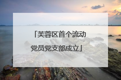芙蓉区首个流动党员党支部成立