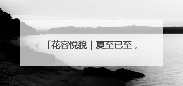 花容悦貌｜夏至已至，南京“荷”处有美韵
