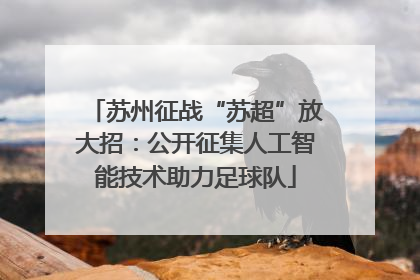 苏州征战“苏超”放大招：公开征集人工智能技术助力足球队