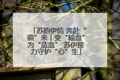 苏韵伊情 奔赴“疆”来丨变“输血”为“造血” 苏伊接力守护“心”生