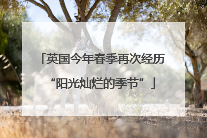 英国今年春季再次经历“阳光灿烂的季节”