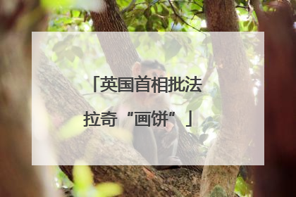 英国首相批法拉奇“画饼”