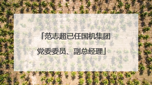 范志超已任国机集团党委委员、副总经理