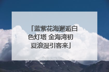 蓝紫花海邂逅白色灯塔 金海湾初夏浪漫引客来