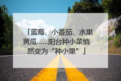 蓝莓、小番茄、水果黄瓜……阳台种小菜悄然变为“种小果”