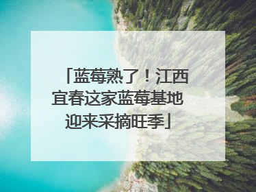 蓝莓熟了！江西宜春这家蓝莓基地迎来采摘旺季