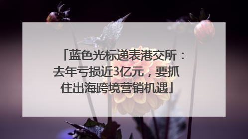 蓝色光标递表港交所：去年亏损近3亿元，要抓住出海跨境营销机遇