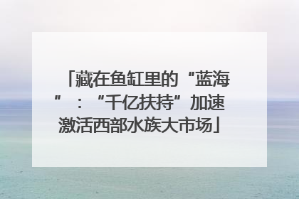 藏在鱼缸里的“蓝海”：“千亿扶持”加速激活西部水族大市场