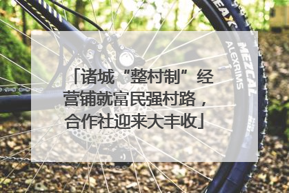 诸城“整村制”经营铺就富民强村路，合作社迎来大丰收