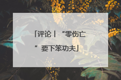 评论丨“零伤亡”要下笨功夫