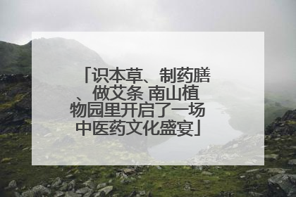 识本草、制药膳、做艾条 南山植物园里开启了一场中医药文化盛宴