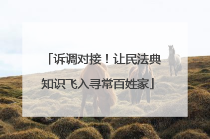 诉调对接！让民法典知识飞入寻常百姓家