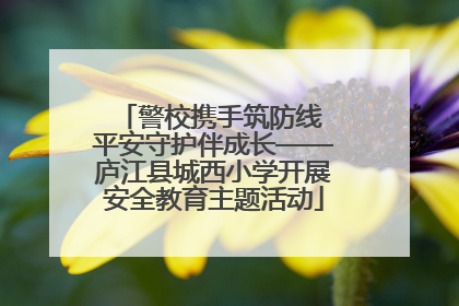 警校携手筑防线 平安守护伴成长——庐江县城西小学开展安全教育主题活动